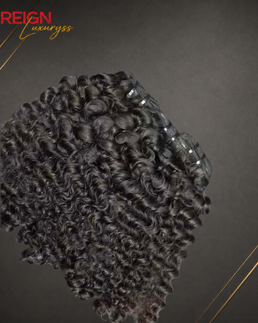 Burmese Curly